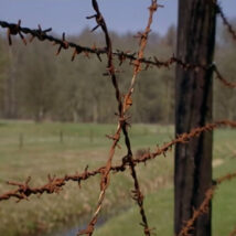 13 in de oorlog | Aflevering 8 | Foto
