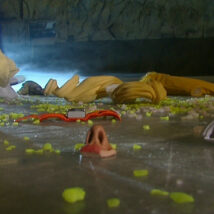 Sportlets | Aflevering 11 | Foto 4